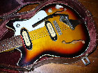 Evans Amp AE-100